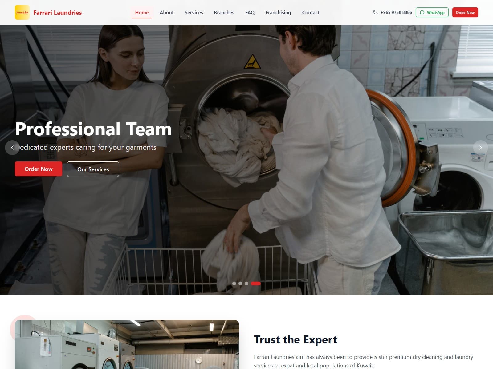 Farrari Laundries — brochure site